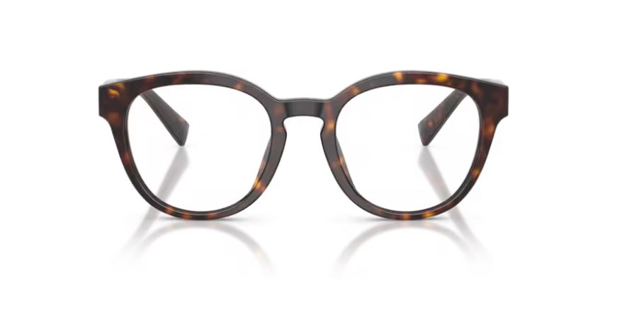 DOLCE & GABBANA DG3421 502 - Havana