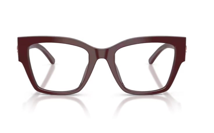 DOLCE & GABBANA DG3435B 3091