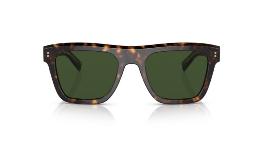 DOLCE & GABBANA DG4420 502/71 - Havana