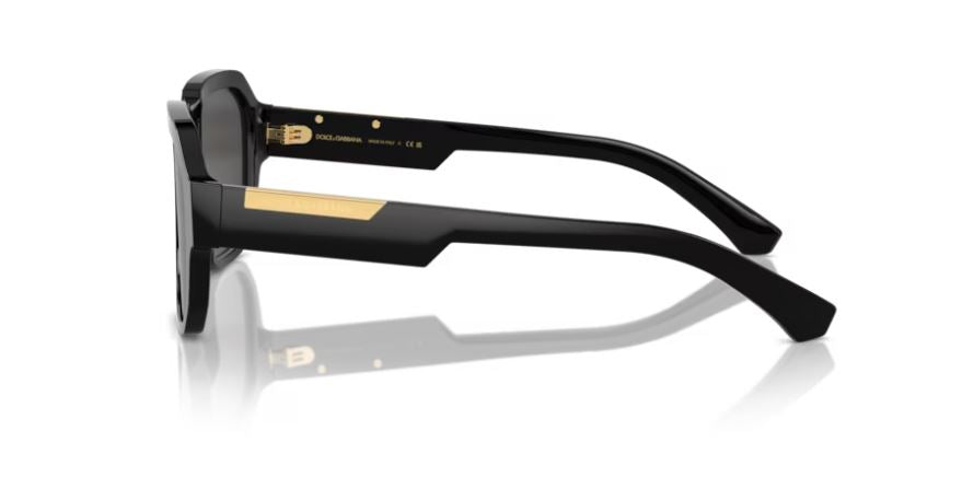 DOLCE & GABBANA DG4464 501/87 - Black