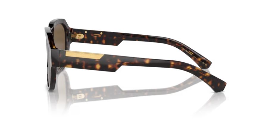 DOLCE & GABBANA DG4464 502/73 - Havana