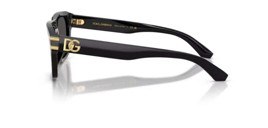 DOLCE & GABBANA DG4496 501/87 - Black