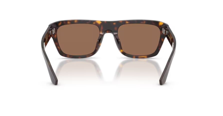 DOLCE & GABBANA DG4496 502/73 - Havana