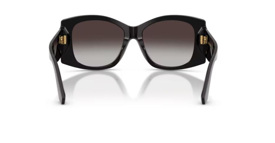 DOLCE & GABBANA DG4501 501/8G - Black