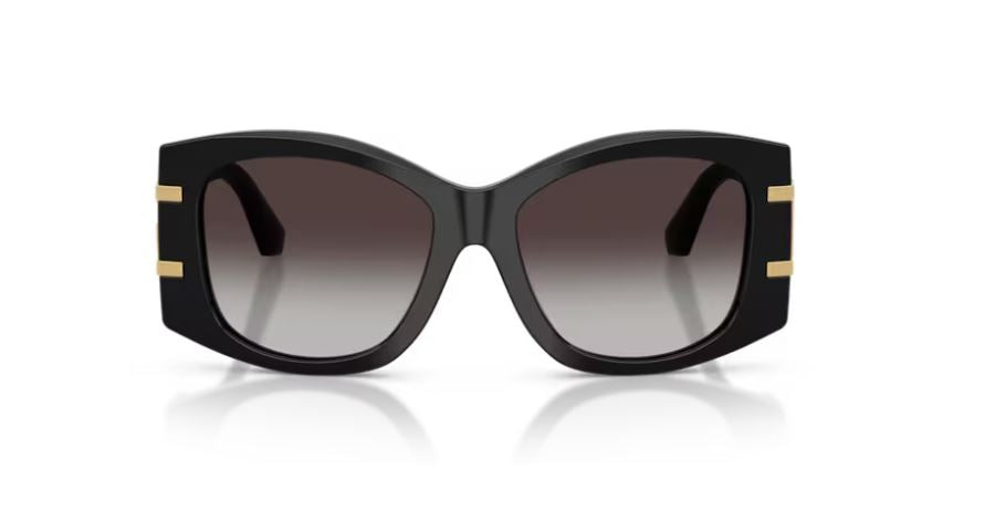 DOLCE & GABBANA DG4501 501/8G - Black