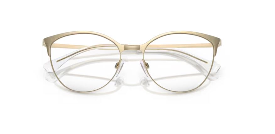 EMPORIO ARMANI EA1087 3013
