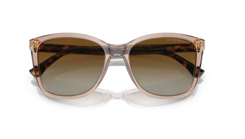 EMPORIO ARMANI EA4060 5850T5 - Transparent tundra