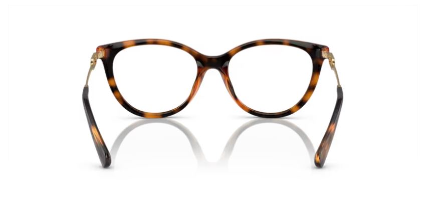 EMPORIO ARMANI EA4213U 50261W