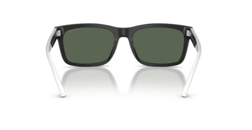 EMPORIO ARMANI EA4224 500171