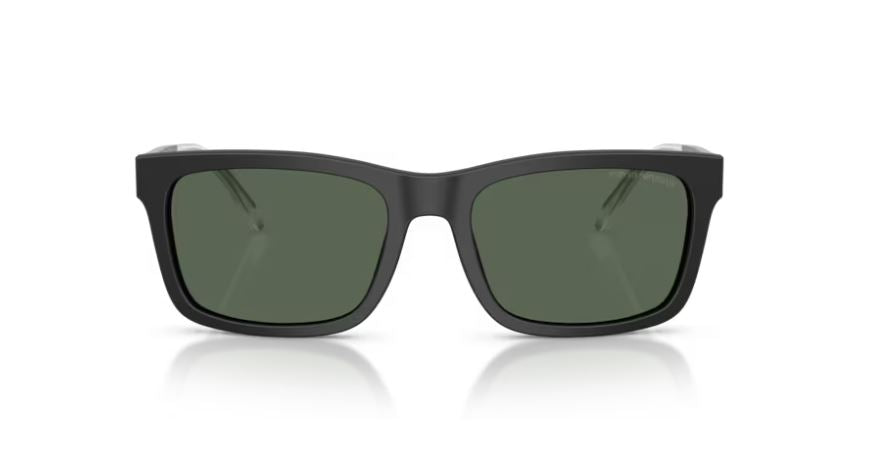 EMPORIO ARMANI EA4224 500171