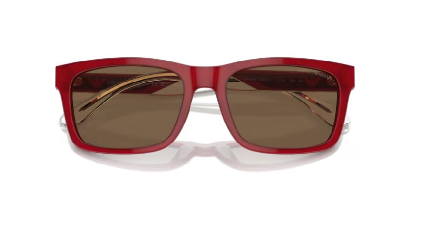 EMPORIO ARMANI EA4224 609373