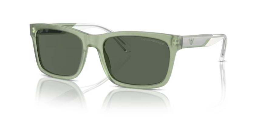 EMPORIO ARMANI EA4224 609471