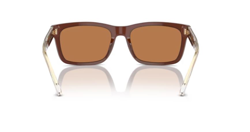 EMPORIO ARMANI EA4224 609573