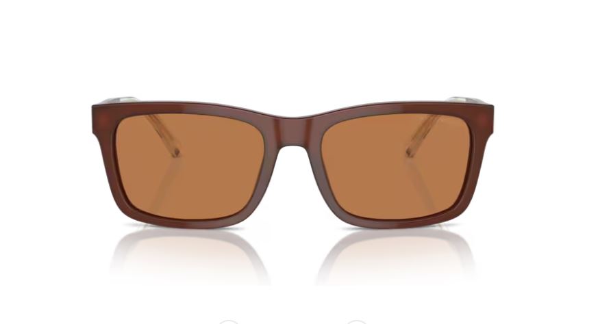 EMPORIO ARMANI EA4224 609573