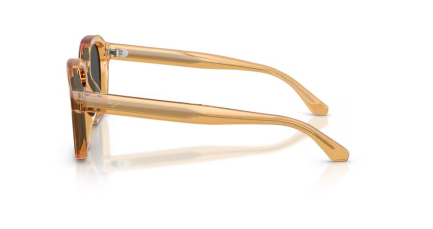 EMPORIO ARMANI EA4245U 624687