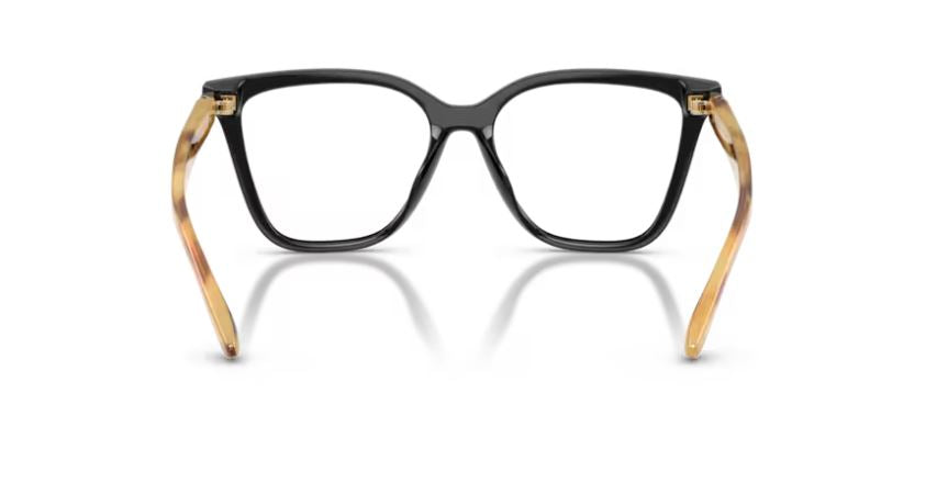 EMPORIO ARMANI EA4254U 62691W