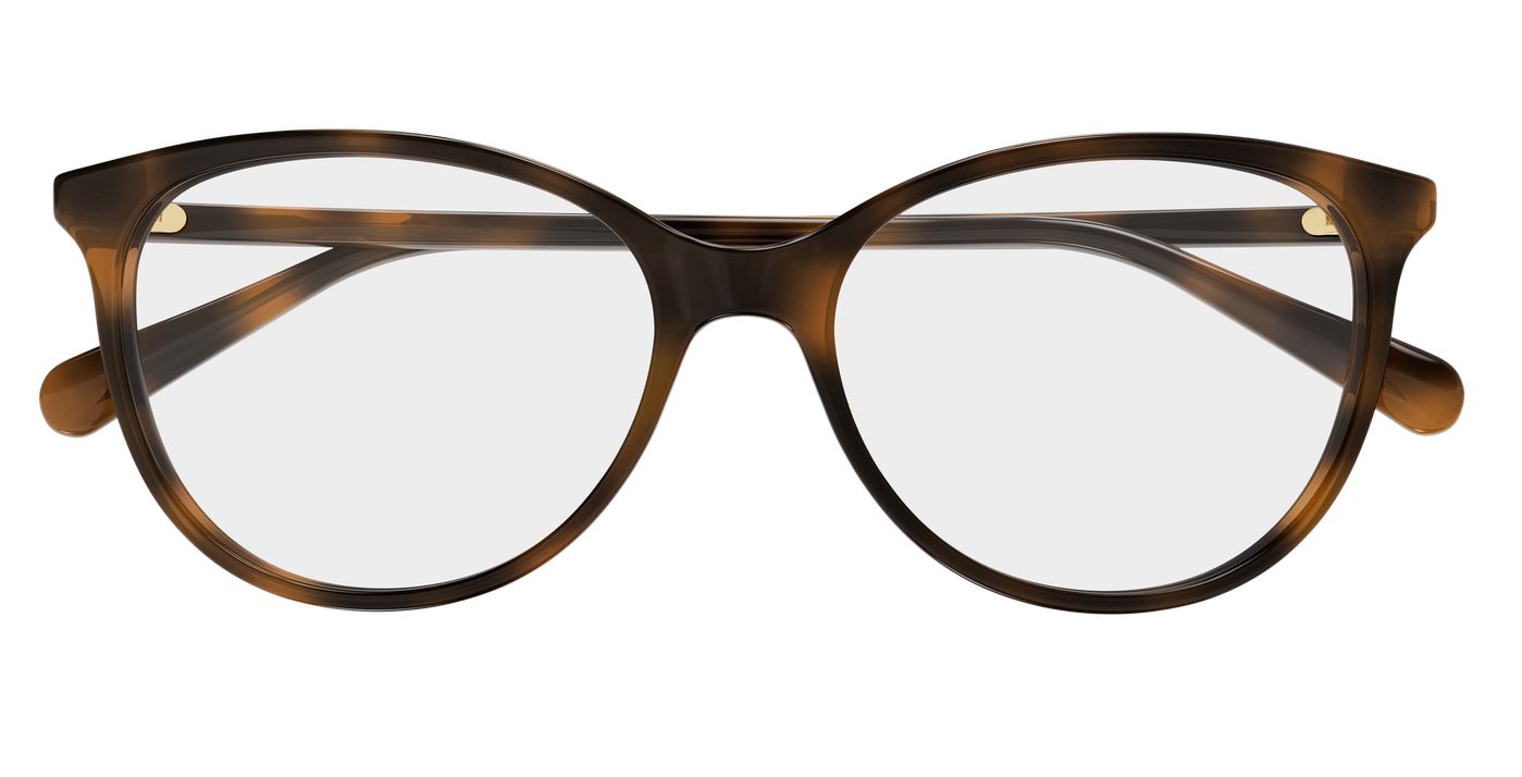 GUCCI GG0550O-002 51