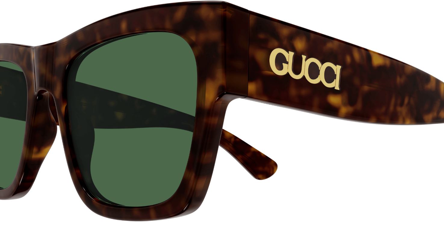 GUCCI GG1793S-002