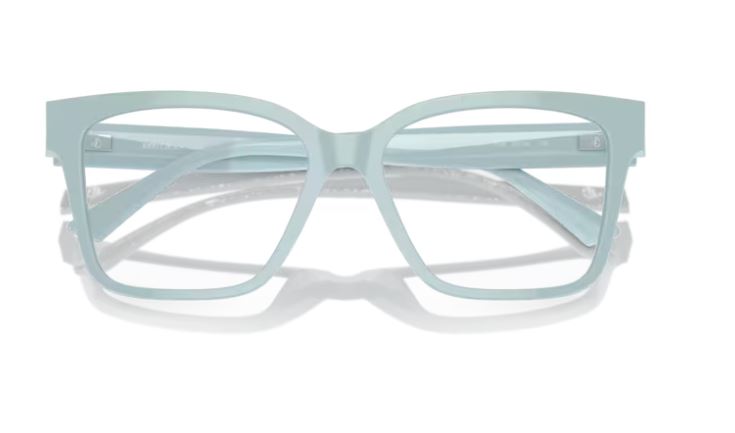 JIMMY CHOO JC3006U 5009