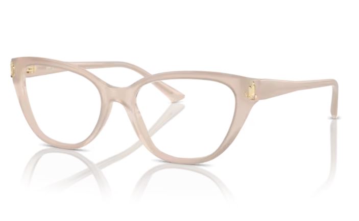 JIMMY CHOO JC3011 5025
