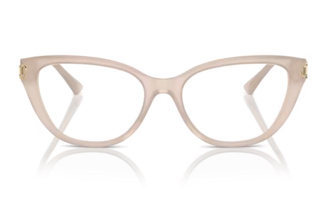 JIMMY CHOO JC3011 5025