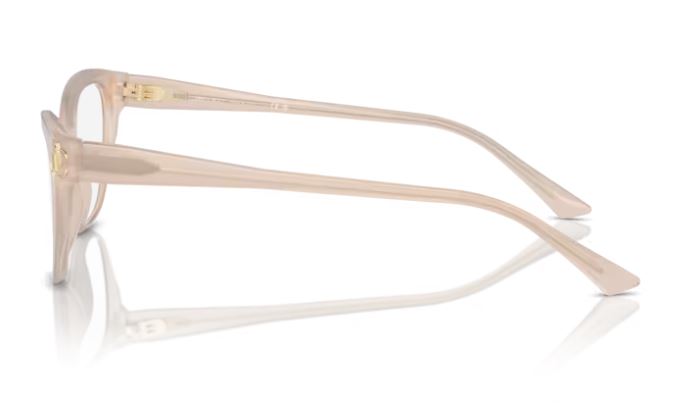 JIMMY CHOO JC3011 5025