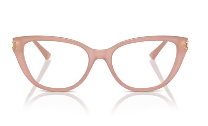 JIMMY CHOO JC3011 5027