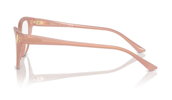JIMMY CHOO JC3011 5027