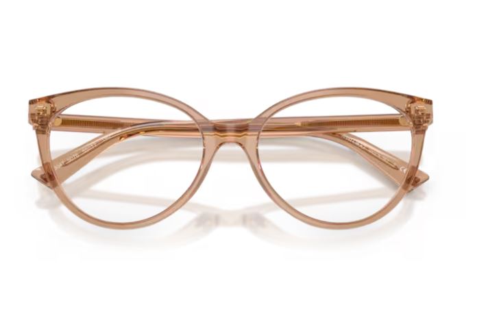 JIMMY CHOO JC3047 5076