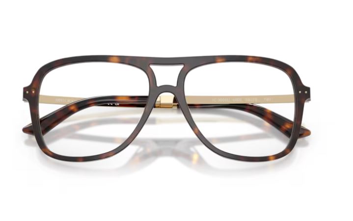 JIMMY CHOO JC3052U 5002