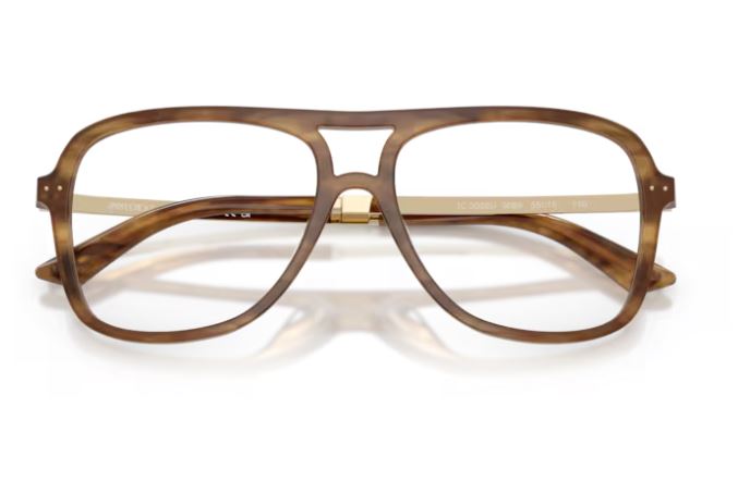 JIMMY CHOO JC3052U 5085