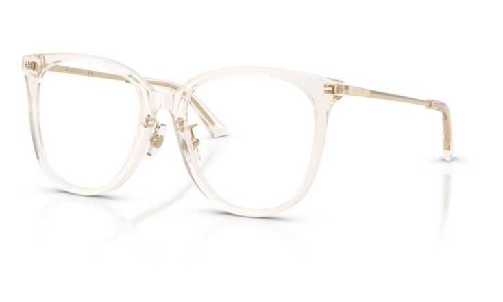 JIMMY CHOO JC3060F 5107