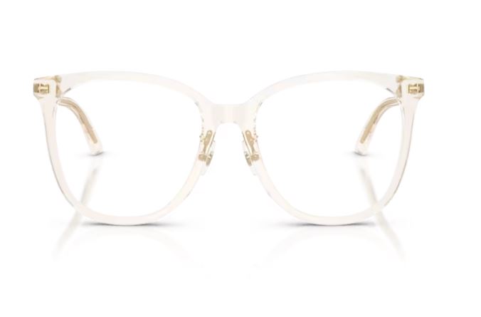 JIMMY CHOO JC3060F 5107
