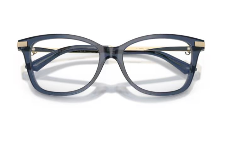 JIMMY CHOO JC3068B 5035