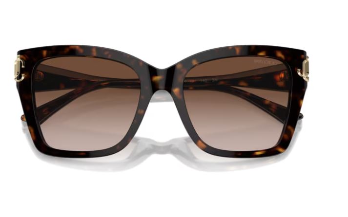 JIMMY CHOO JC5012 500213