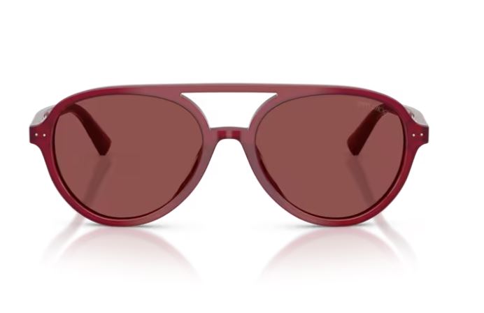 JIMMY CHOO JC5055U 508175