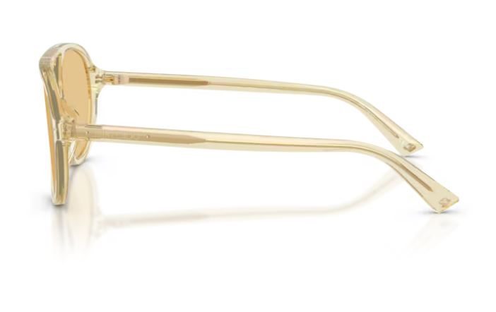 JIMMY CHOO JC5055U 50838