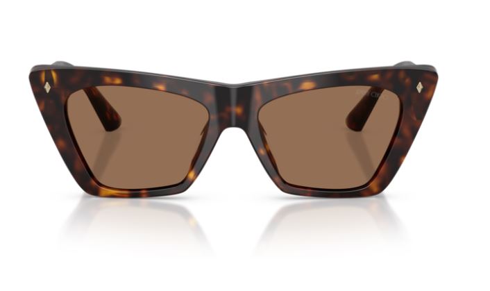 JIMMY CHOO JC5062U 500273