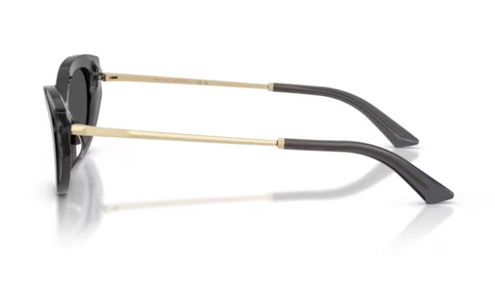 JIMMY CHOO JC5065U 510387