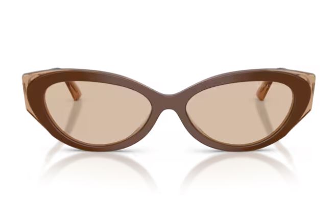 JIMMY CHOO JC5065U 510593