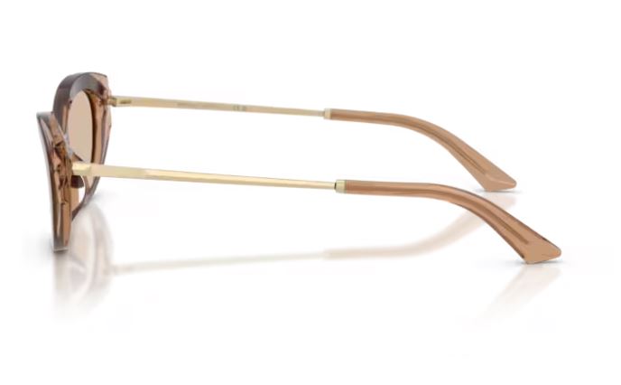 JIMMY CHOO JC5065U 510593
