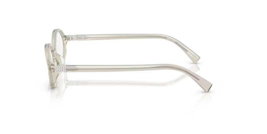 MIU MIU MU 01XV 12U1O1 - Hemp transparent