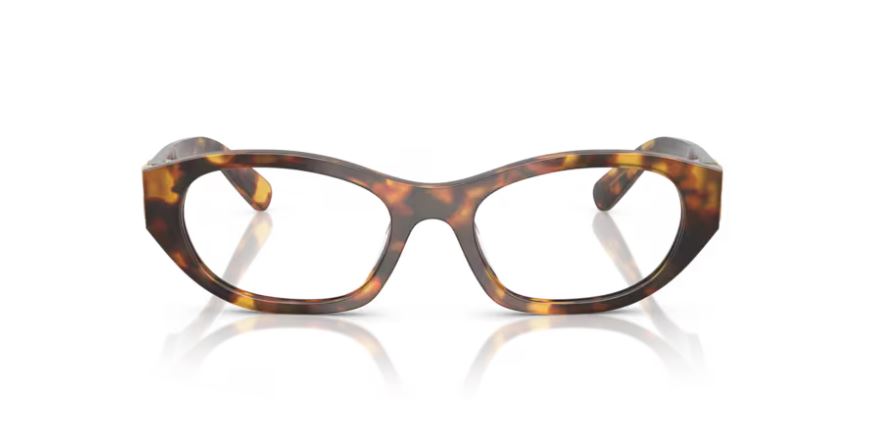 MIU MIU MU 03WV 14L1O1 - Havana honey