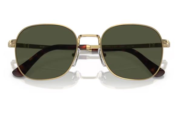 PERSOL PO1009S 51531