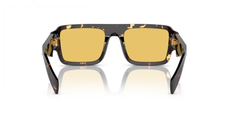 PRADA PR A05S 16O10C Black malt tortoise