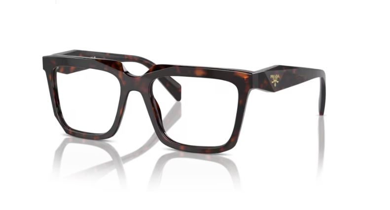 PRADA PR A19V 17N1O1 Root tortoise