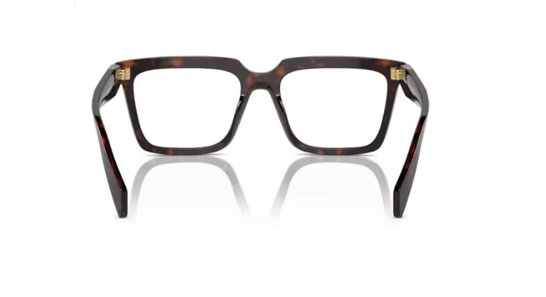 PRADA PR A19V 17N1O1 Root tortoise