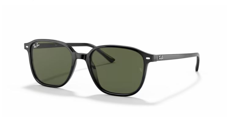 RAY-BAN RB2193 901-31 - Leonard