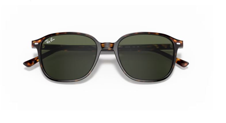 RAY-BAN RB2193 902-31 - Leonard