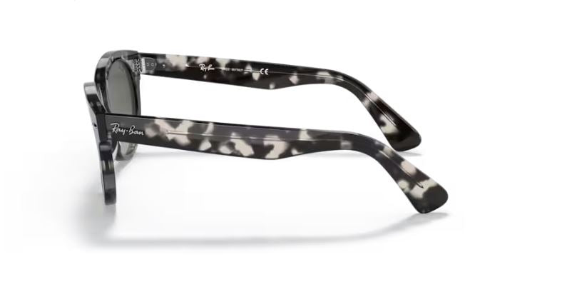 RAY-BAN RB2199 133371 - Orion